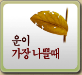 �ǿ� ����